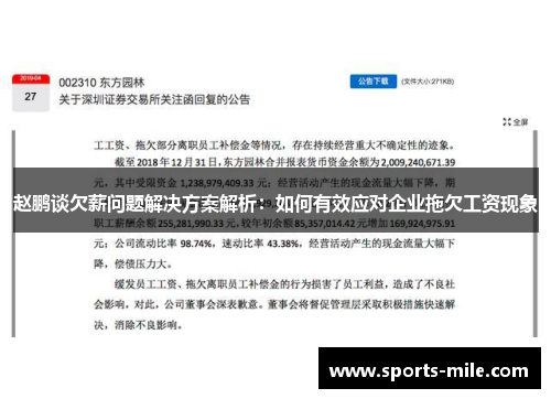 赵鹏谈欠薪问题解决方案解析：如何有效应对企业拖欠工资现象