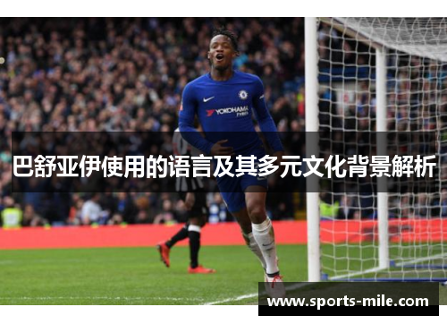 巴舒亚伊使用的语言及其多元文化背景解析 巴舒亚伊使用的语言及其多元文化背景解析