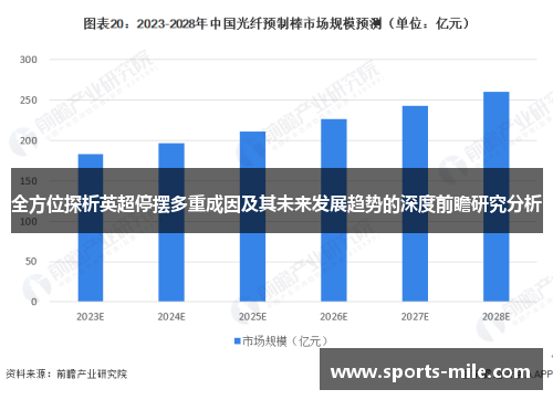 全方位探析英超停摆多重成因及其未来发展趋势的深度前瞻研究分析