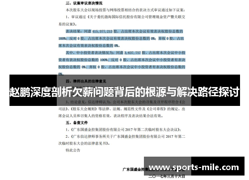 赵鹏深度剖析欠薪问题背后的根源与解决路径探讨 赵鹏深度剖析欠薪问题背后的根源与解决路径探讨