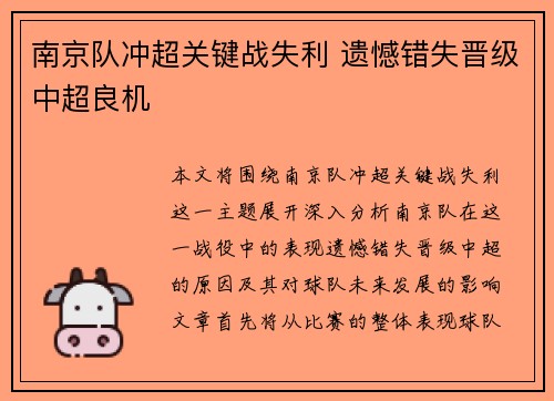 南京队冲超关键战失利 遗憾错失晋级中超良机